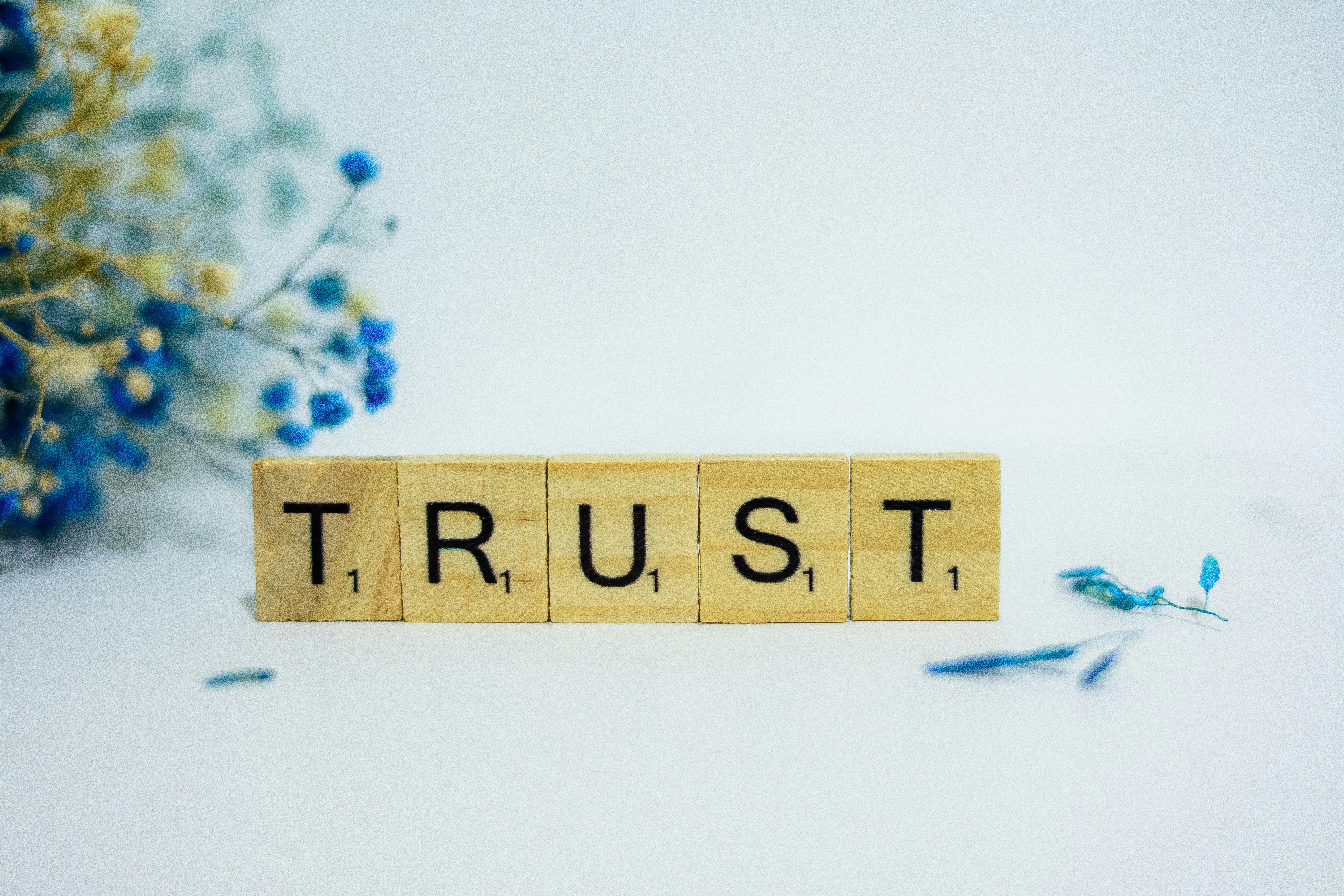 Blocks spelling out the word trust